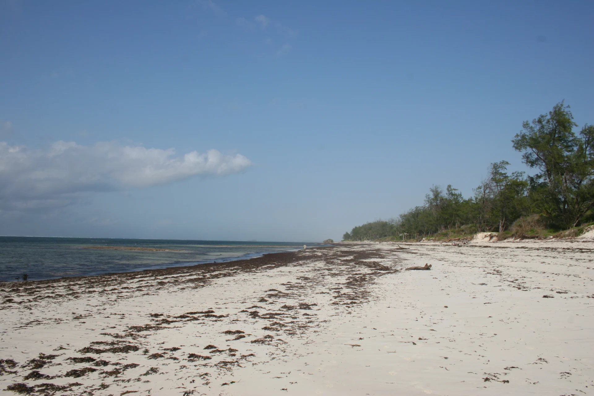 Watamu_Beach,_Kenya