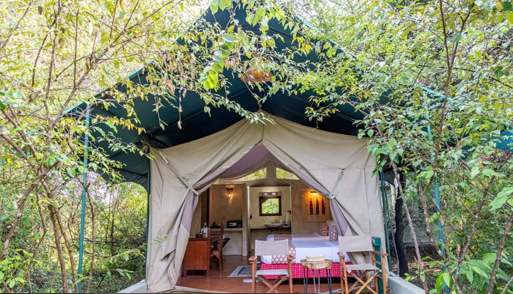 Majestic Maasai Mara Getaway