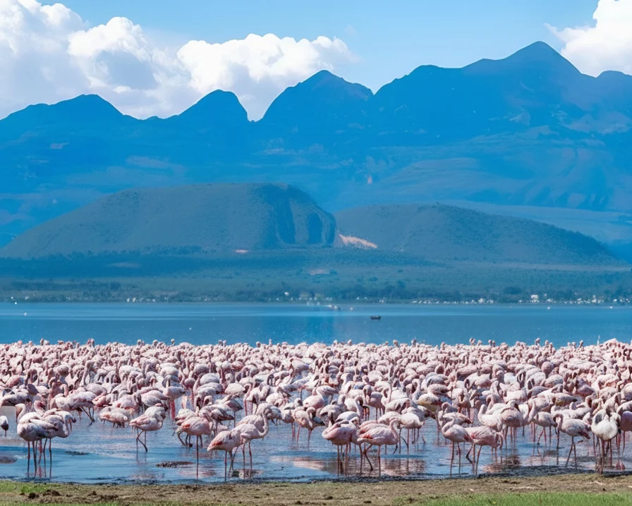 Serena Elementaita Lodge