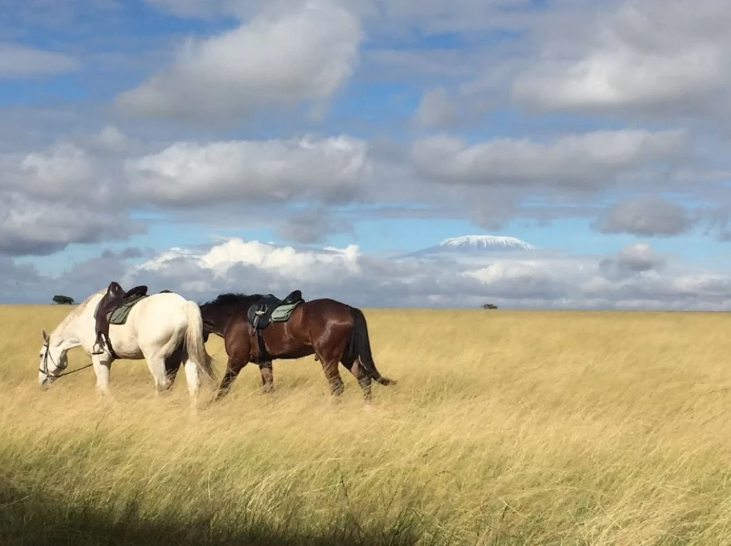 The Naivasha Trio Horses, Blooms and Wild Trails